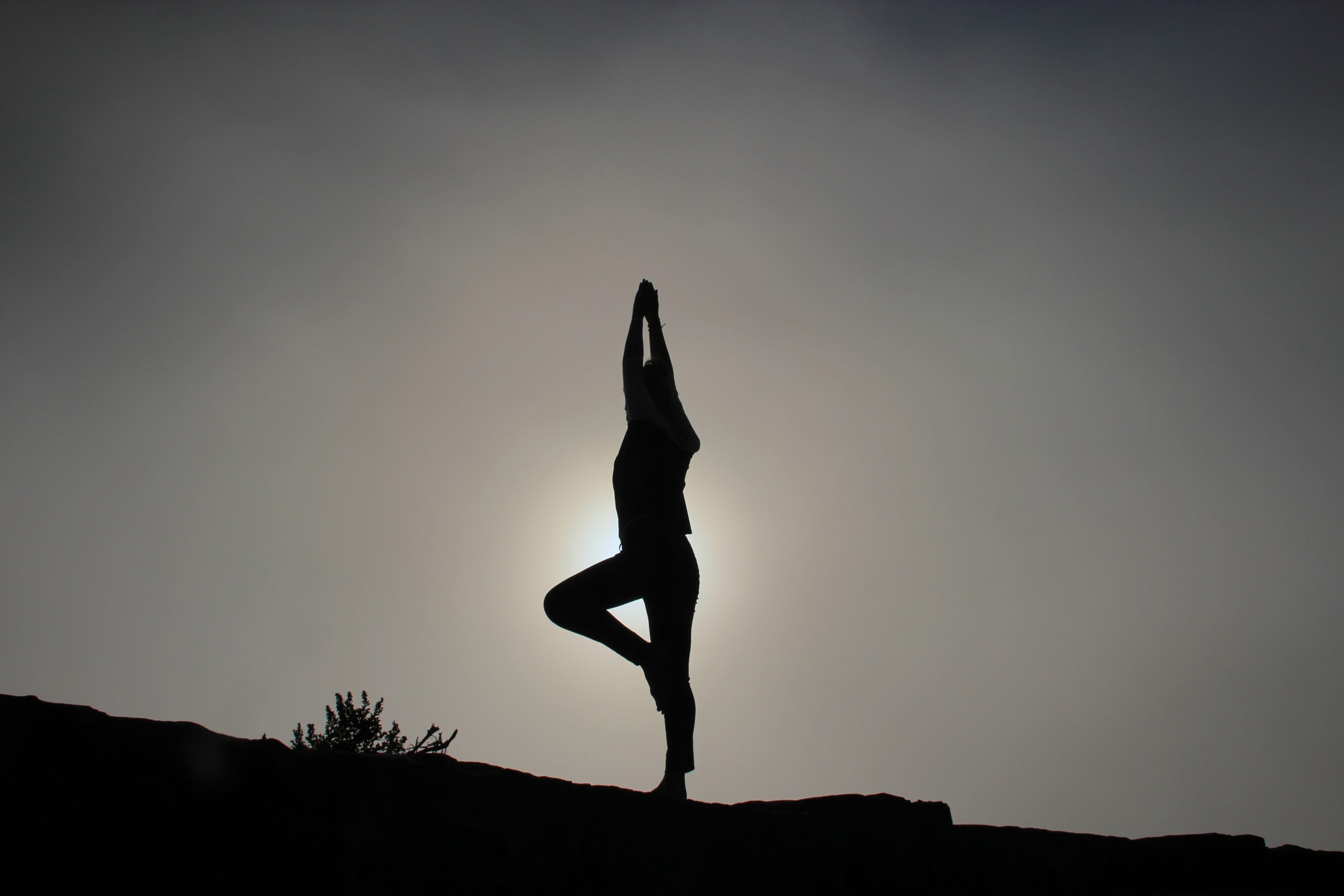 4 Easy Yoga Poses For Beginners 4 Easy Yoga Poses For Beginners