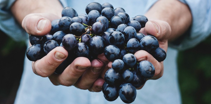 grapes for diabetes