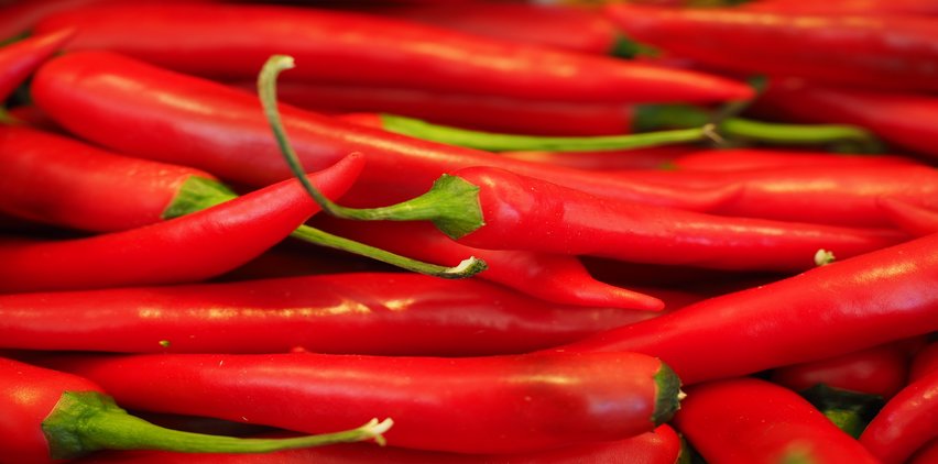 red chile peppers to burn more fat