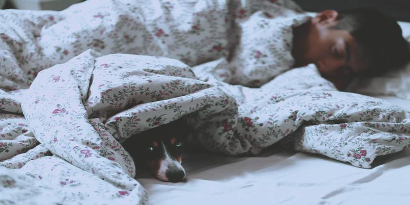 unsplash. man laying on bed with dog