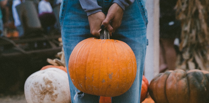 Woman holding a pumpkin at a pumpkin patch