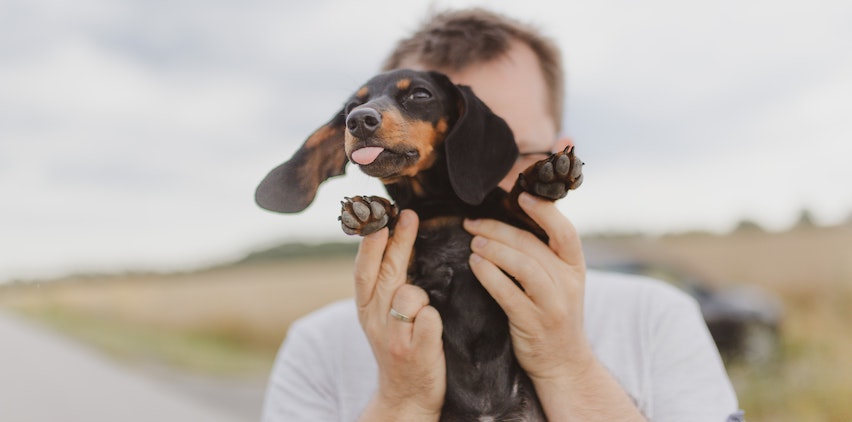 A dachshund puppy being held by a man